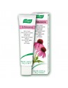 A.VOGEL - Echinacea punase päevakübara kreem 35g
