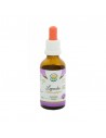 Salvia Paradise - Sipelgapuu koore ehk Pau D´Arco tinktuur 50ml