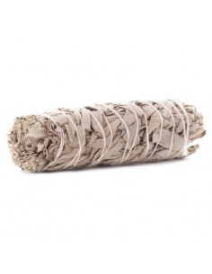 Valge salvei (White sage) 20g
