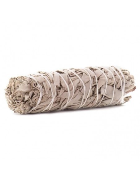 Valge salvei (White sage) 20g
