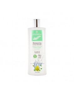 Montbrun - Kõõmavastane orgaaniline šampoon termaalveega sidruni ja mündiga, 250ml