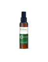 Sapone di un Tempo - Rosmariini lillevesi, 100ml