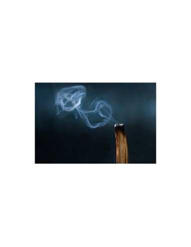 Erbe di Janas - Viirukipulgad "Palo Santo", 5tk karbis