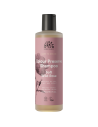 Urtekram - Šampoon värvitud juustele, damaskuse roosiga, 250ml