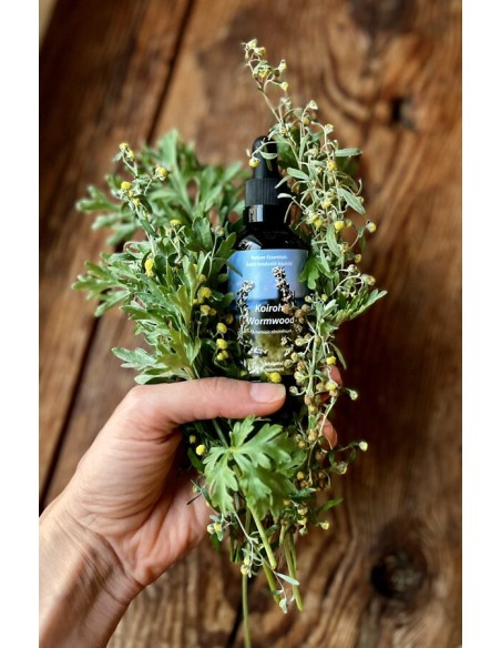 Reial - Koirohi 50ml