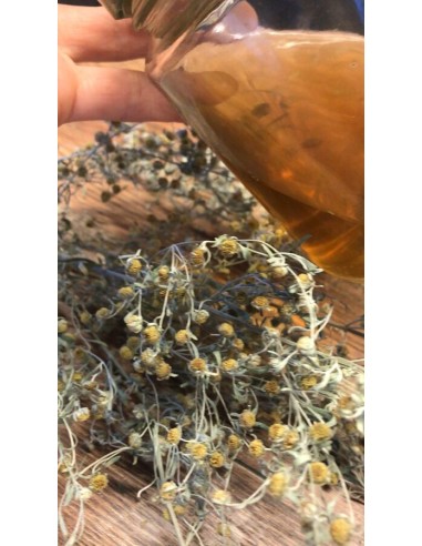 Reial - Koirohi 50ml