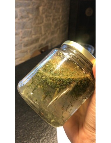 Reial - Koirohi 50ml