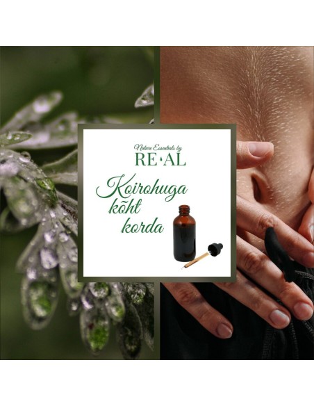 Reial - Koirohi 50ml