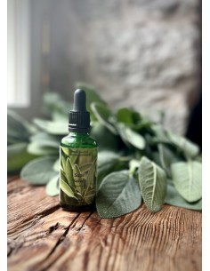 Reial - Salvei tinktuur 50ml 2