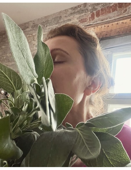 Reial - Salvei tinktuur 50ml