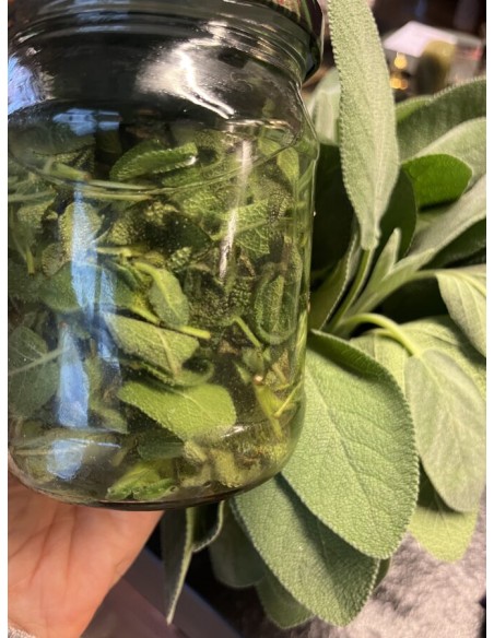 Reial - Salvei tinktuur 50ml