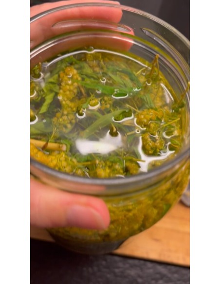 Reial - Kuldvitsa tinktuur 50ml