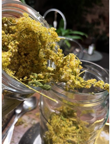 Reial - Kuldvitsa tinktuur 50ml