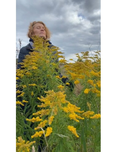 Reial - Kuldvitsa tinktuur 50ml