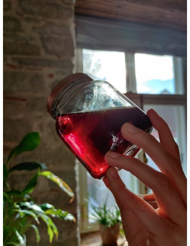 Reial - Naistepuna tinktuur 50ml