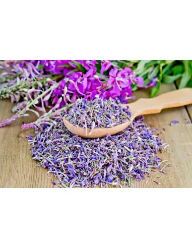 Reial - Põdrakanepi tinktuur 50ml