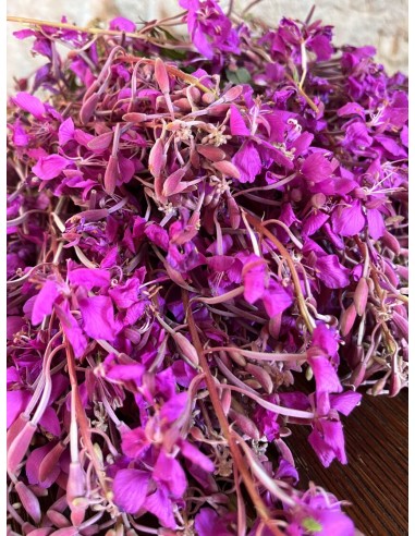 Reial - Põdrakanepi tinktuur 50ml