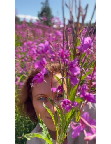 Reial - Põdrakanepi tinktuur 50ml