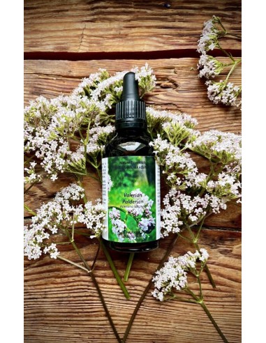 Reial - Palderjani tinktuur 50ml