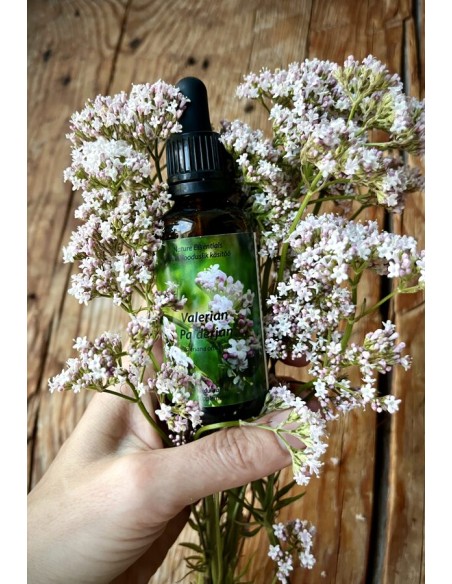 Reial - Palderjani tinktuur 50ml