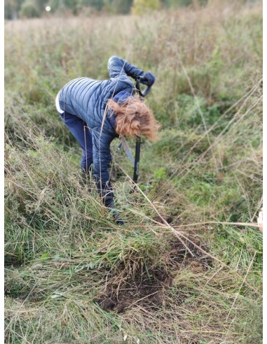 Reial - Palderjani tinktuur 50ml