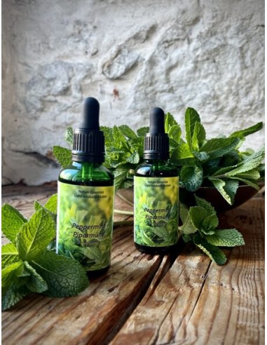 Reial - Piparmündi tinktuur 50ml