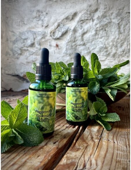 Reial - Piparmündi tinktuur 50ml