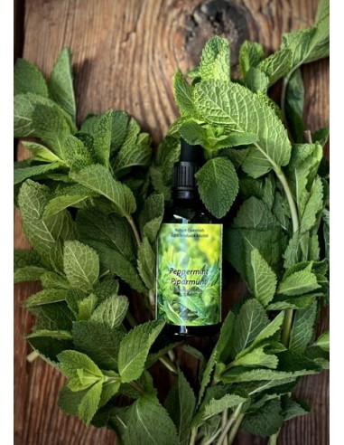 Reial - Piparmündi tinktuur 50ml