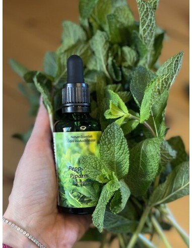 Reial - Piparmündi tinktuur 50ml