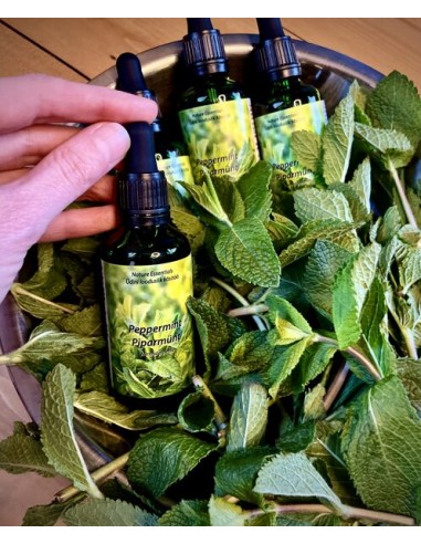 Reial - Piparmündi tinktuur 50ml