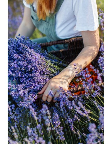 Reial - Lavendliõli 50ml