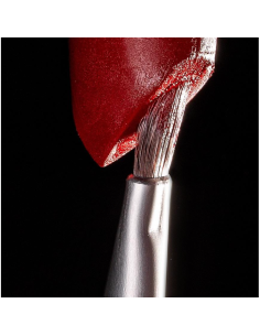 Benecos - Meigipintsel huulepulgale 2