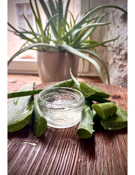 Reial - Aloe vera geel, 100g