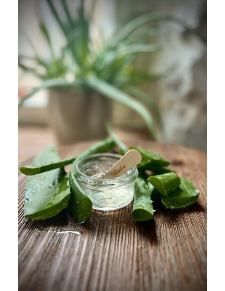 Reial - Aloe vera geel, 100g