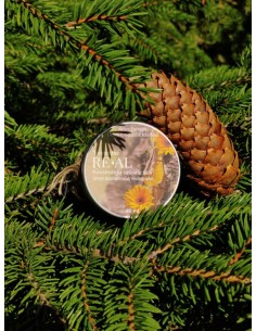 Reial - Kuusevaigu-saialille salv, 60ml 2