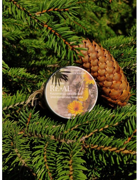 Reial - Kuusevaigu-saialille salv, 60ml