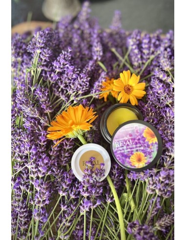 Reial - Saialille-lavendliõli salv, 60ml
