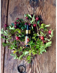 Reial - Kibuvitsaseemneõli, 10ml 2