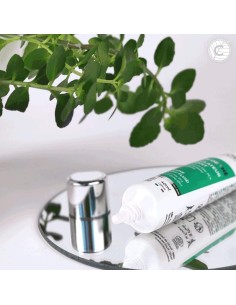 Centifolia - Matistav ja tasakaalustav näokreem rohelise tee ja tsingiga, 40 ml 2