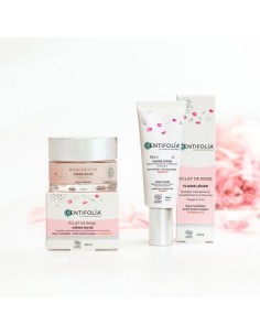 Centifolia - Éclat de Rose® toitev ja niisutav Rich näokreem sheavõi, hüaluroonhappe ja C-vitamiiniga, 50ml 2