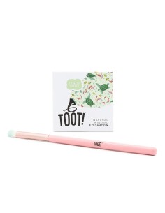Toot! - Totally Turtle lauvärvi komplekt lastele