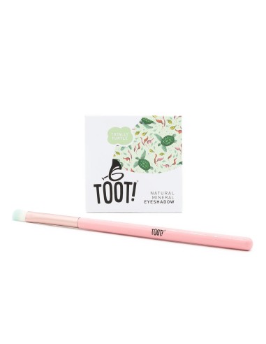 Toot! - Totally Turtle lauvärvi komplekt lastele