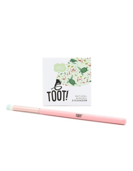 Toot! - Totally Turtle lauvärvi komplekt lastele