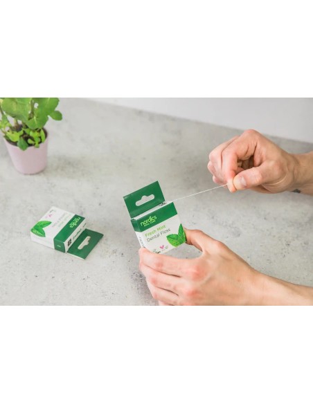 Nordics - Hambaniit piparmündiõliga