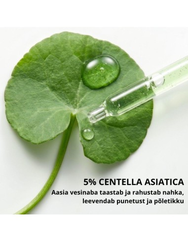 Teaology - Nahka rahustav näoseerum Centella Cica 15ml