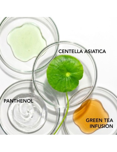 Teaology - Nahka rahustav näoseerum Centella Cica 15ml