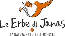Erbe di Janas